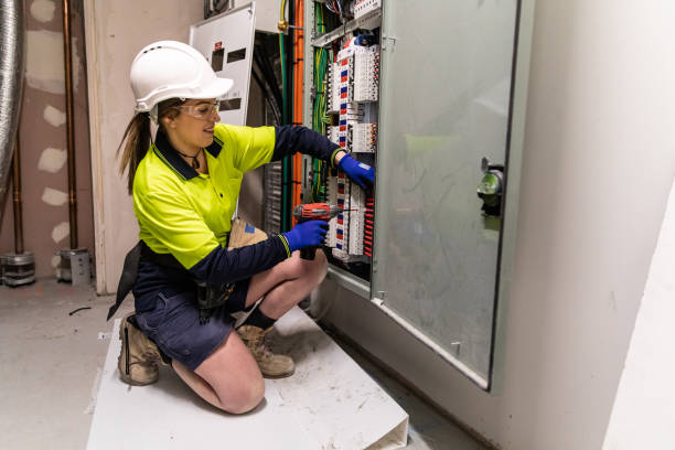 Best Electric Panel Repair  in Hawthorne, FL