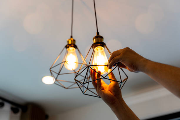 Best Electrical Repair Services  in Hawthorne, FL